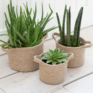 Natural Jute Woven Plant Pots Set of Three