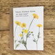 Buttercup Mini Seed Card