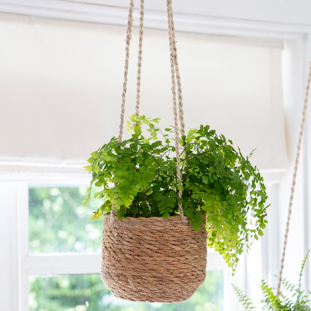Jute Hanging Plant Pot Short Penelopetom