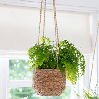 Jute Hanging Plant Pot Short