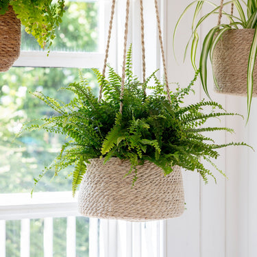 Wide Tapered Jute Hanging Plant Pot