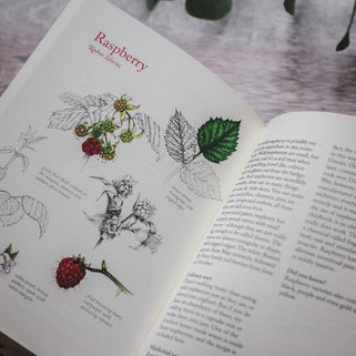 The Hedgerow Apothecary