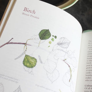 The Hedgerow Apothecary