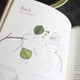 The Hedgerow Apothecary