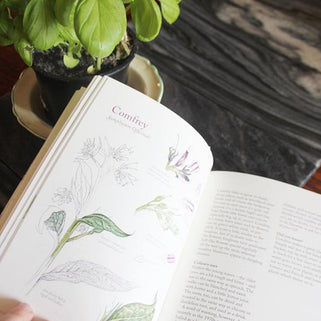 The Hedgerow Apothecary