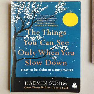 Things You Can See Only When You Slow Down Book