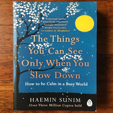 Things You Can See Only When You Slow Down Book