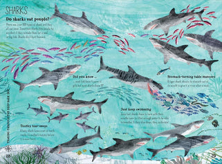 Big Book Of The Blue