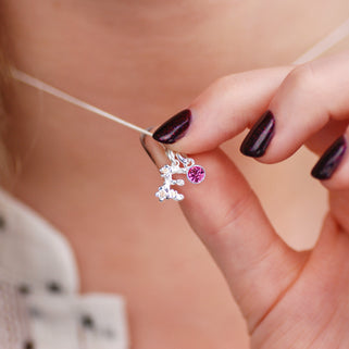 Sterling Silver Flower Initial Birthstone Necklace