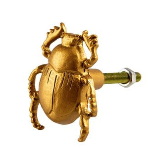 Gold Scarab Beetle Knob