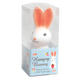 Hungry Bunny Night Light