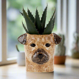 Border Terrier Pen Pot