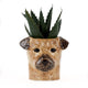 Border Terrier Pen Pot