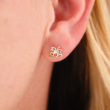 Sterling Silver Gold Vermeil Zodiac Stud Earrings